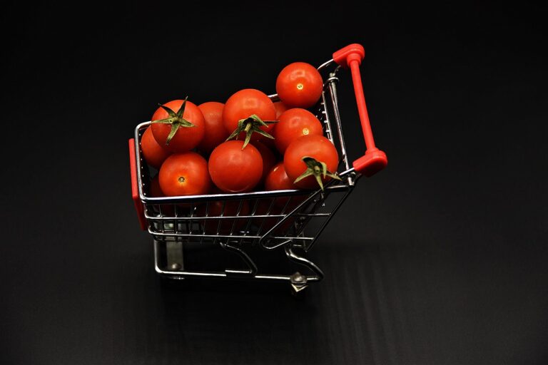 The Intersection of Food and Fashion: Edible Runway Trends
